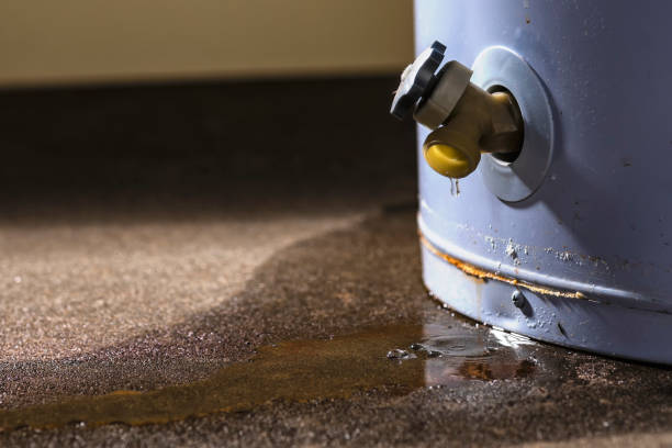 Best Professional water damage repair  in Desert Palms, CA