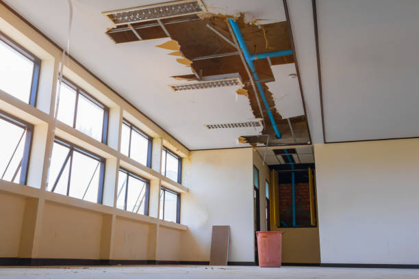 Best Carpet water damage restoration  in Desert Palms, CA