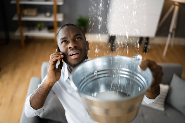 Best Flood damage cleanup  in Desert Palms, CA
