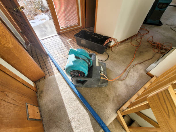 Best Sewage cleanup and water damage restoration  in Desert Palms, CA