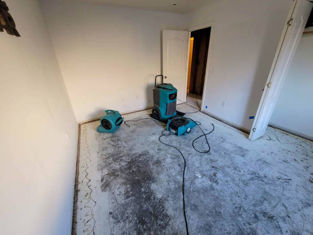 Best 24/7 water damage repair  in Desert Palms, CA