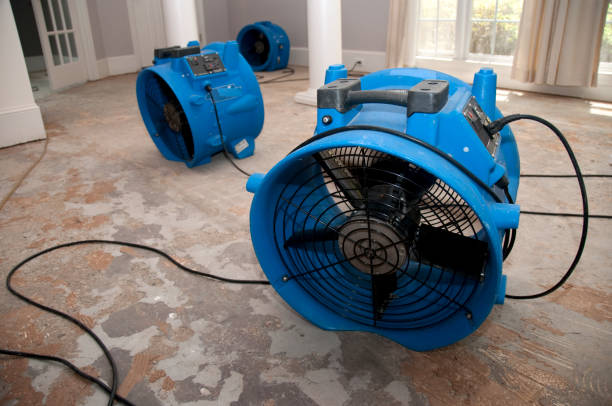 Best Residential water damage restoration  in Desert Palms, CA