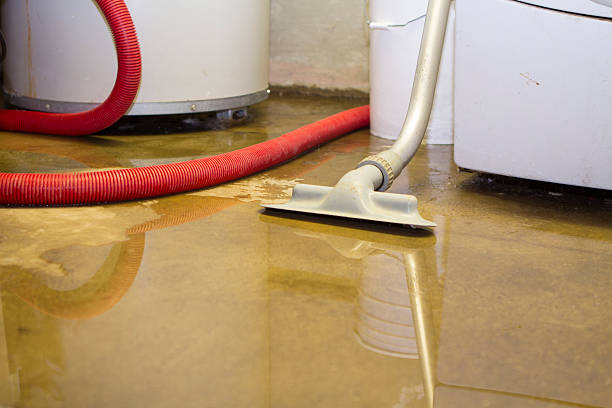 Best Flooded house restoration  in Desert Palms, CA