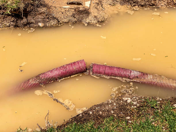 Best 24/7 water damage repair  in Desert Palms, CA