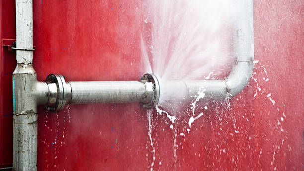 Best Flood damage cleanup  in Desert Palms, CA